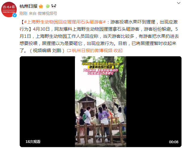 上海野生动物园回应“猩猩拿石头砸游客”